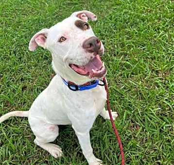 Photo of Jethro