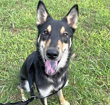 Photo of Thor