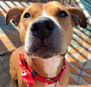 Photo of Hercules