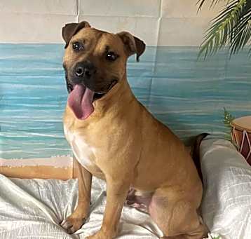 Photo of Tank