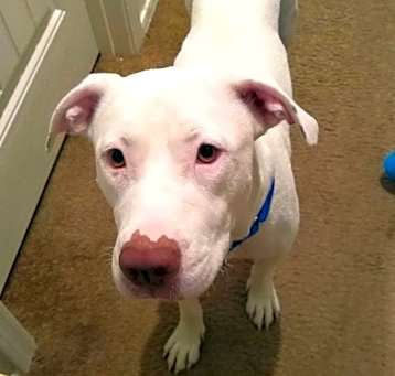 Photo of Cloud AKA Paddy