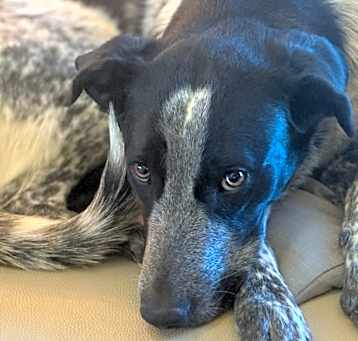 Photo of Emmy