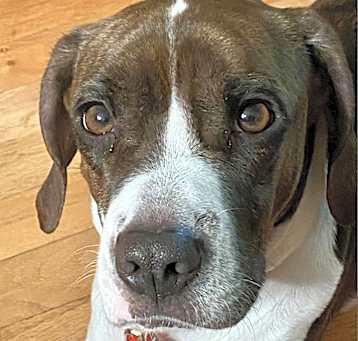 Photo of Bonnie