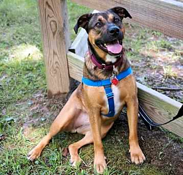 Photo of Moxie