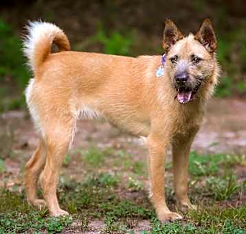 Photo of Coco