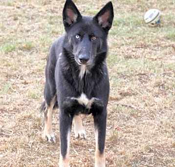 Photo of Duke