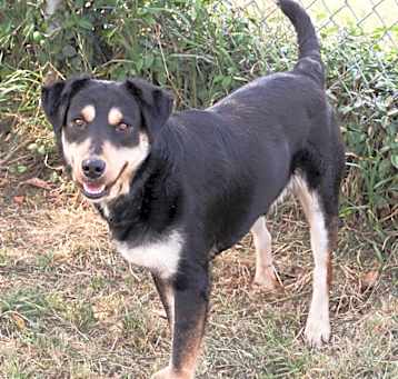 Photo of Mason AC23-0879
