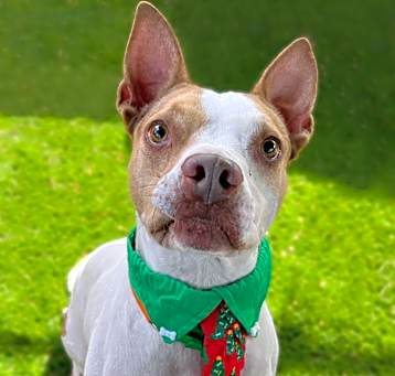 Photo of Cash