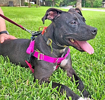Photo of Macy