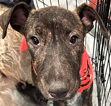 Photo of Ketch aka Kyle A4949772