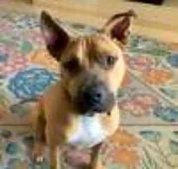 Photo of Swiper A4895653