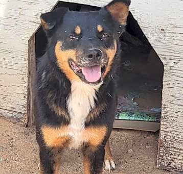 Photo of Dirk
