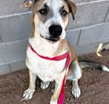 Photo of Riggs