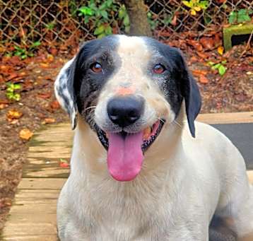 Photo of Hansel