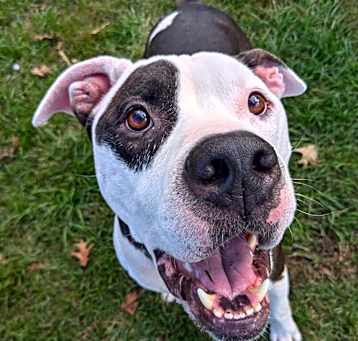Photo of Murphy