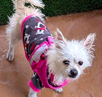 Photo of Chloe
