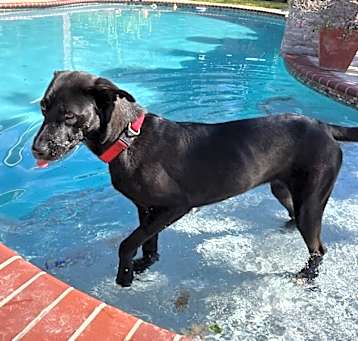 Photo of Rosalie