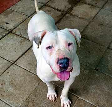 Photo of Oriana