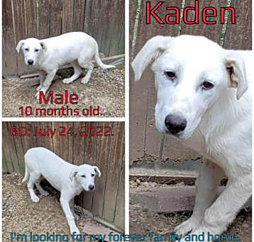 Photo of Kaden