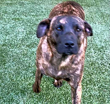 Photo of Brenda 2265