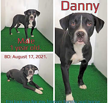 Photo of Danny