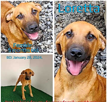 Photo of Loretta