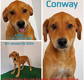 Photo of Conway