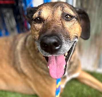 Photo of Cinnamon @ Foster