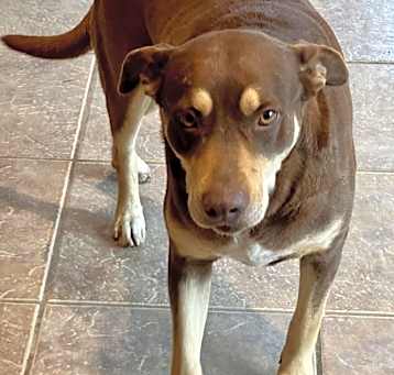 Photo of Hershey