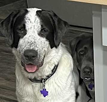 Photo of Seamus