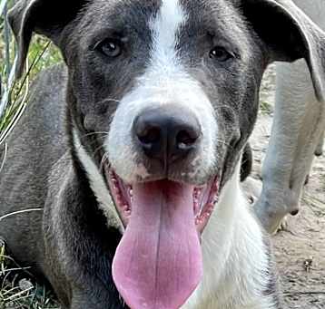Photo of Orson
