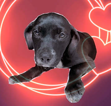 Photo of Isabella