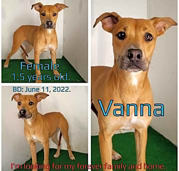 Photo of Vanna