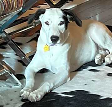 Photo of Lexie