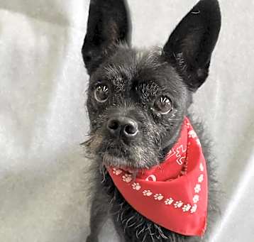 Photo of GRACE