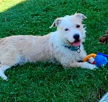 Photo of FALCOR now CONNER