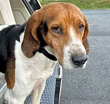Photo of Guidry