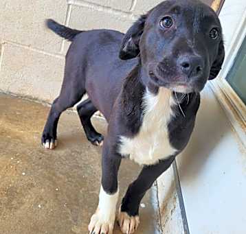 Photo of Holly 6795