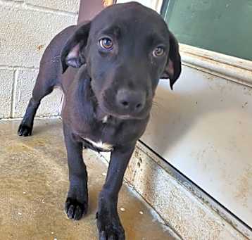 Photo of Gloria 5377
