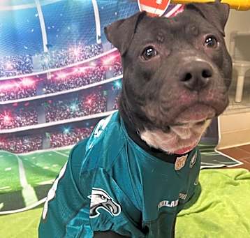 Photo of Monty