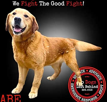 Photo of Gabe 4522