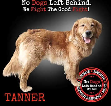 Photo of Tanner 9415 7038