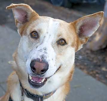 Photo of TUCK