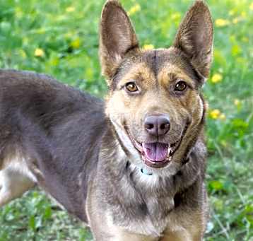 Photo of REGINA