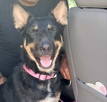 Photo of Bella Marie BP*