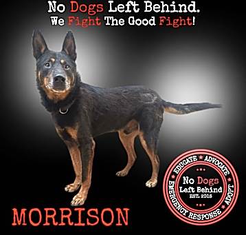Photo of Morrison 3786