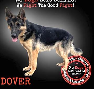 Photo of Dover 9339