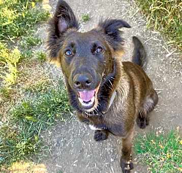Photo of OLIVE