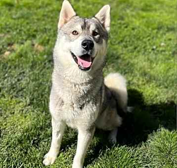 Photo of TIMBER