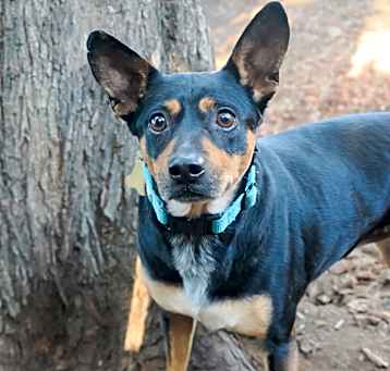 Photo of MAXIE
